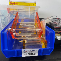Thermo Electrophoresis Gel Boxes image 2